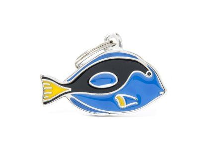 WILD SURGEONFISHES