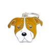 AMERICAN STAFFORDSHIRE TERRIER