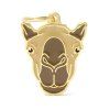 WILD CAMEL