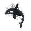 WILD KILLER WHALE