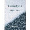 Ködkergető borítóterv