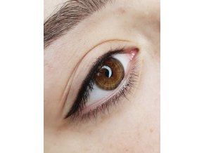 Kurz Permanentný make-up tetovanie ocnych liniek