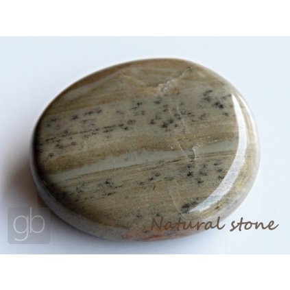 Jaspis%20st%C5%99%C3%ADbrn%C3%BD%20MI773 1