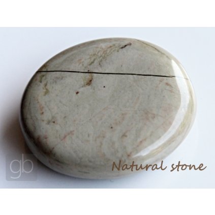 Jaspis%20st%C5%99%C3%ADbrn%C3%BD%20MI771 1