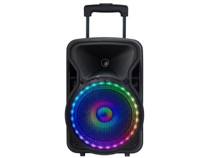 N-GEAR FLASH THE FLASH 1205/ BT repro/ 300W/ USB/ MICRO SD/ DO/ 2x MIC THEFLASH1205