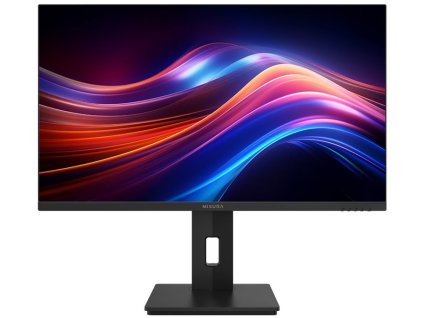 MISURA 25" LED P23QG25DFA01/ VA/ 1920x1080 (FHD)/ 3000:1/ 1ms/ 350 cd/m2/ HDMI/ DP/ REPRO/ VESA 100x100/ černý P23QG25DFA01