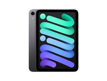 iPad mini Wi-Fi 256GB Kozmický sivý (2021) MK7T3FD/A