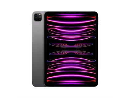 iPad Pro 11" Wi-Fi + Cellular 2TB Kozmický sivý (2022) MNYL3FD/A