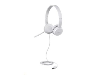 Lenovo 110 Stereo USB Headset GXD1E71385