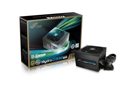 FSP HYDRO GSM Lite PRO 750/750W/ATX/80PLUS Gold/Modular/Retail PPA7506101