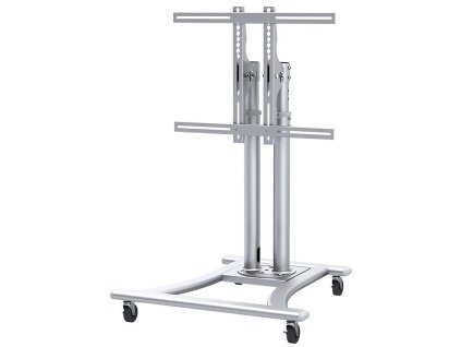Neomounts PLASMA-M1200 / Mobile Flat Screen Floor Stand (height: 80-120 cm) / Silver PLASMA-M1200