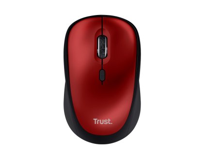 24550 pictures product top 1 s