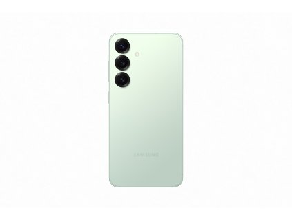 sm s931 galaxys25 back mint 241108 s