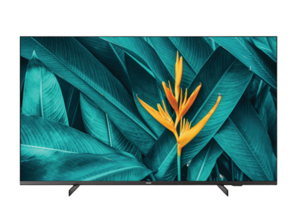 50 removebg preview s