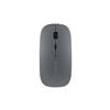 Devia myš Lingo Series 2.4G+Wireless Dual Mode Mouse - Gray