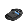 B1