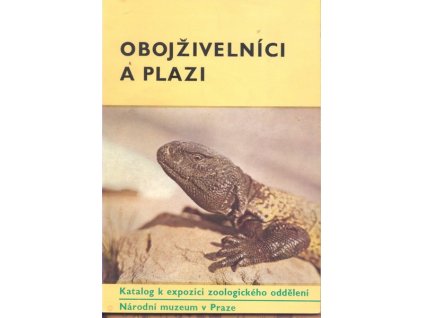 OBOJŽIVELNÍCI A PLAZI