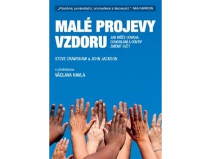 MALÉ PROJEVY VZDORU