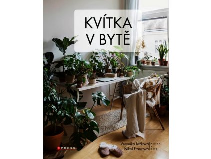 KVÍTKA V BYTĚ