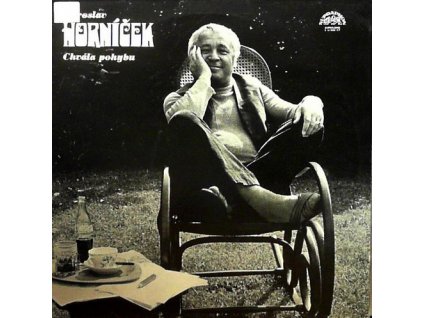 CHVÁLA POHYBU  Horníček Miroslav