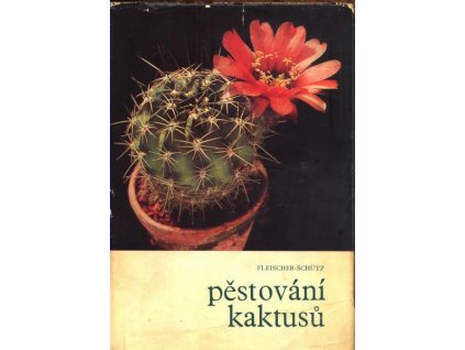 PĚSTOVÁNÍ KAKTUSŮ