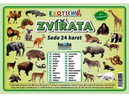 EXOTICKÁ ZVÍŘATA - SADA 24 KARET