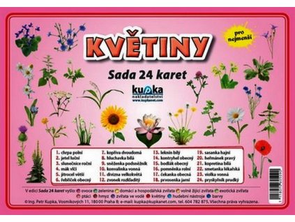 KVĚTINY - SADA 24 KARET