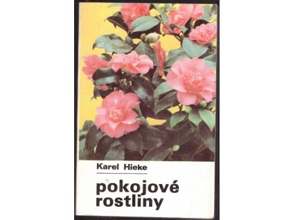 POKOJOVÉ ROSTLINY