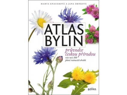 ATLAS BYLIN