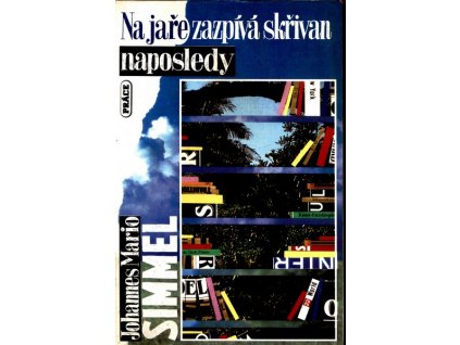 V200597