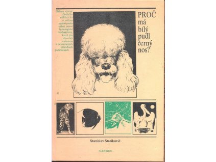 PROČ MÁ BÍLÝ PUDL ČERNÝ NOS?  Starikovič Stanislav