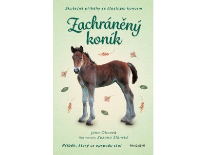 SKUTEČNÉ PŘÍBĚHY SE ŠŤASTNÝM KONCEM - ZACHRÁNĚNÝ KONÍK