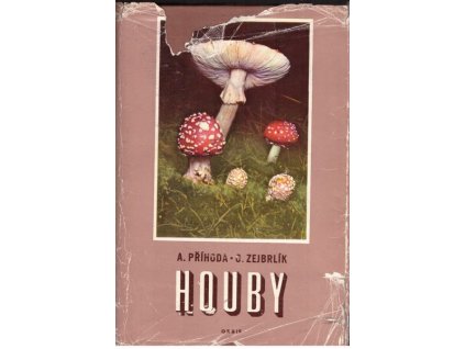 HOUBY