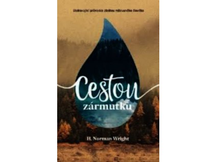CESTOU ZÁRMUTKU  Wright Norman H.