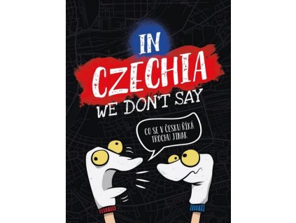IN CZECHIA WE DONT SAY  Salon Jaroslav