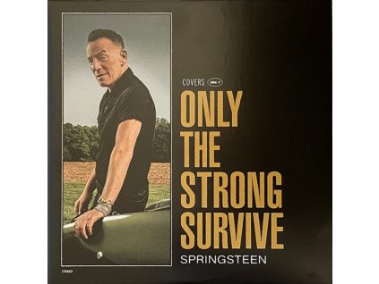 ONLY THE STRONG SURVIVE 2LP  Springsteen Bruce