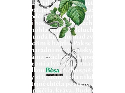 BĚSA (BROŽ.)  Táborská Dita