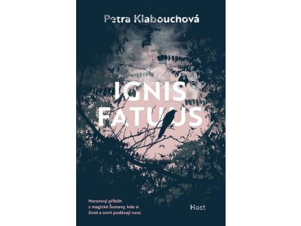 IGNIS FATUUS  Klabouchová Petra