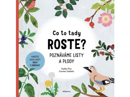 CO TO TADY ROSTE?  Píro Radka
