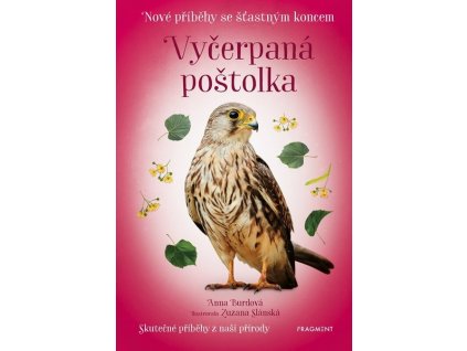 NOVÉ PŘÍBĚHY SE ŠŤASTNÝM KONCEM - VYČERPANÁ POŠTOLKA  Burdová Anna, Belšán Michal