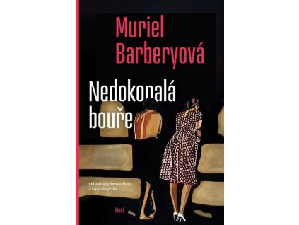 NEDOKONALÁ BOUŘE