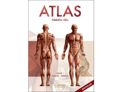 ATLAS LIDSKÉHO TĚLA  Jordi Vigué, Miquel Ferrón, Myriam Ferró
