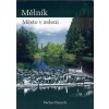 MĚLNÍK - MĚSTO V ZELENI