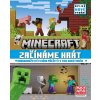 MINECRAFT - ZAČÍNÁME HRÁT - ÚPLNĚ NOVÉ VYDÁNÍ