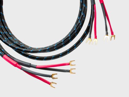 Silver Sonic Q 10 Signature Internally Bi Wired Pair 01