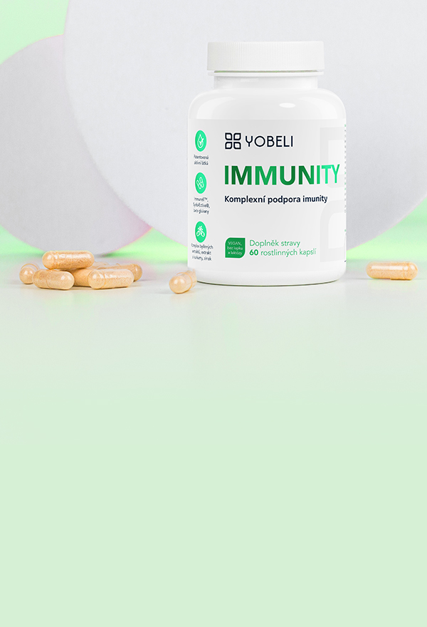 VEČER PATŘÍ PLETI