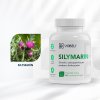 silymarin actives SK