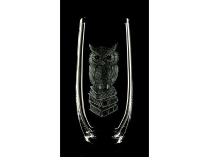 Sklenice 1ks na vodu 0,3l s rytinou sovy  - ručně ryté (broušené), dárková krabička