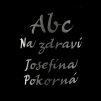 Písmo jednoduché základní (Josefína)  ručně ryté na přání (cena za písmenko)