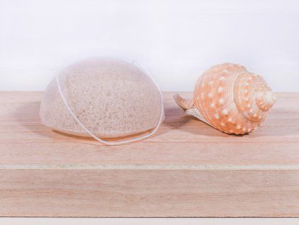486 1 konjac houba